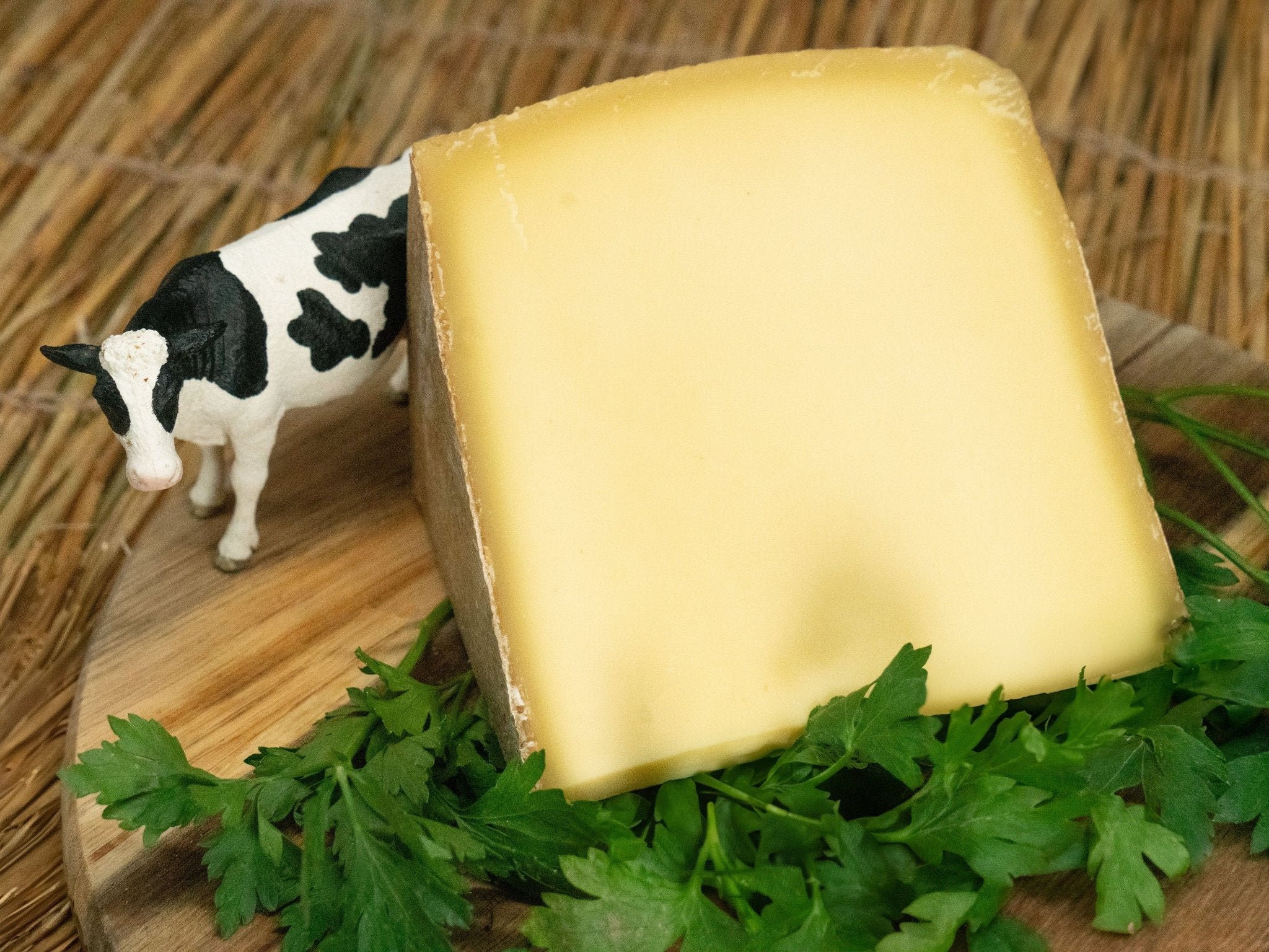 calorie fromage dent du chat