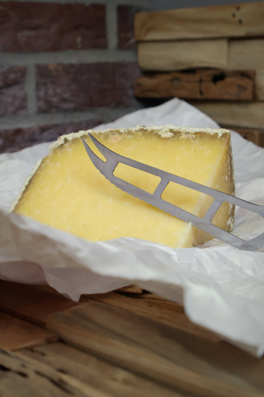 Cantal Salers fromage français au lait de vache
