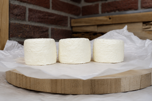 Crottin nature fromage de chèvre