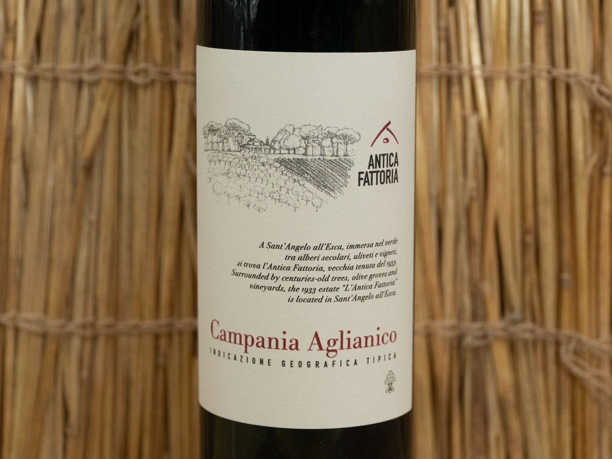 Campania Aglianico - Vin - La Dent du Chat