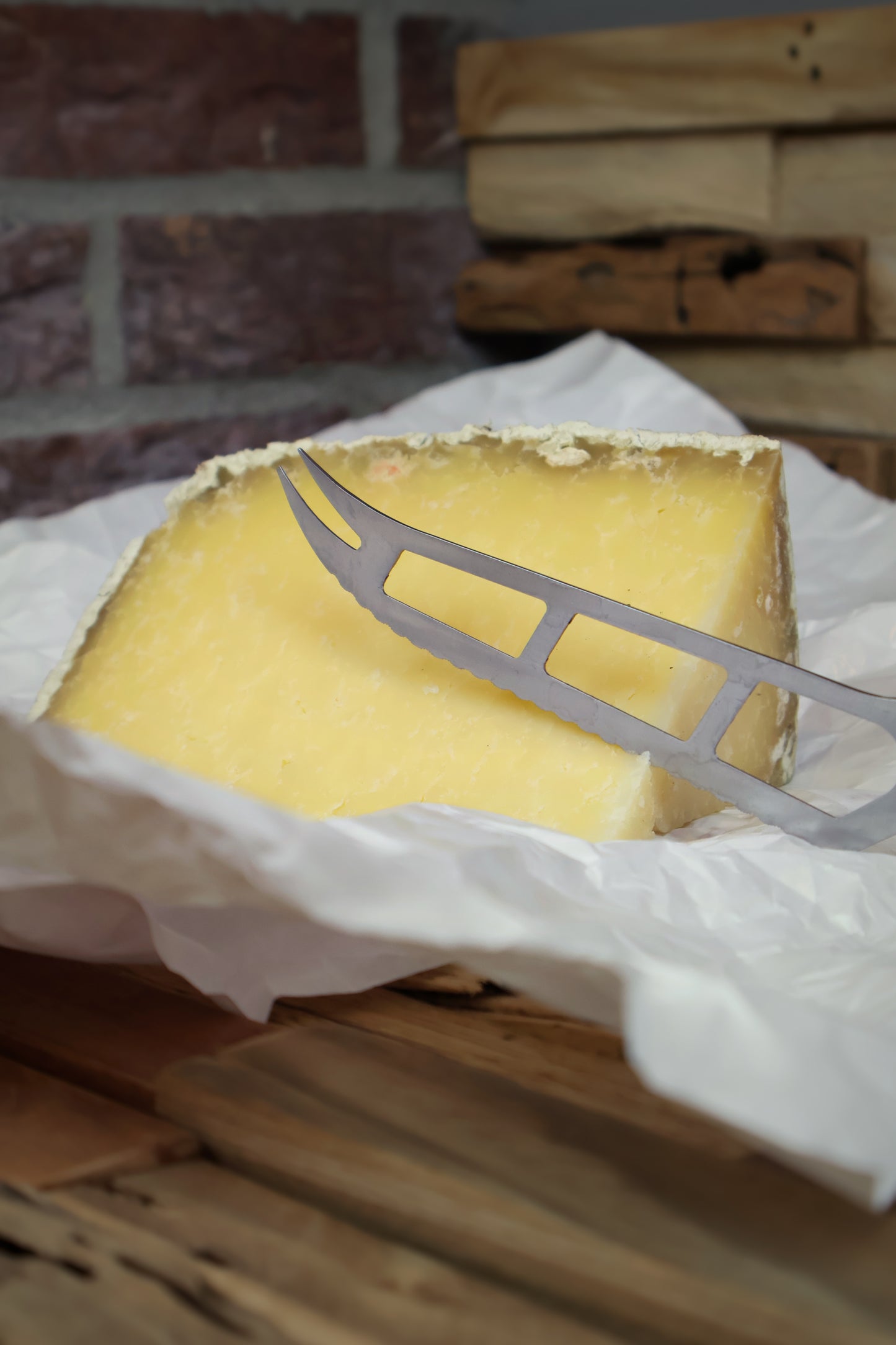 Cantal Salers fromage français au lait de vache