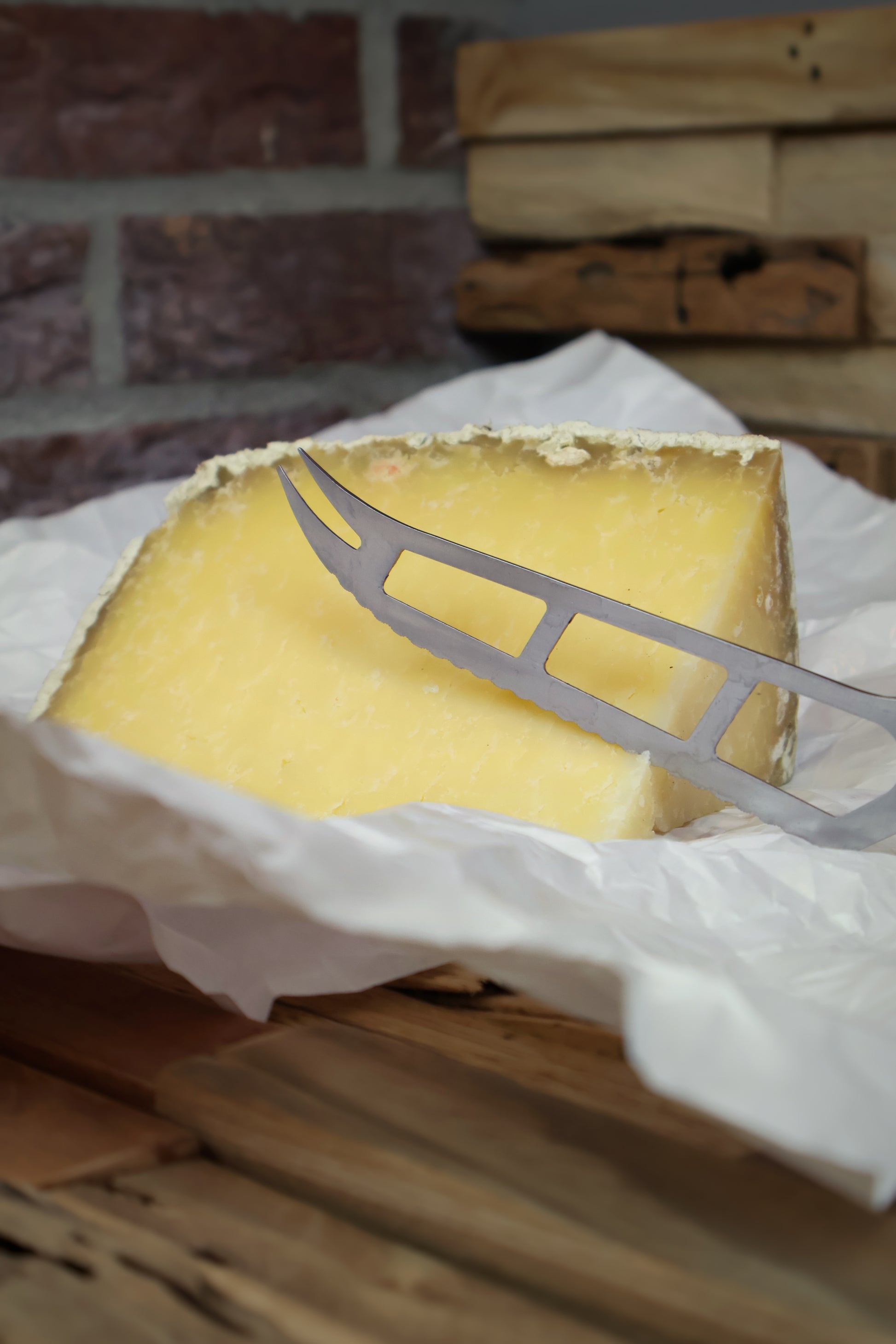 Cantal Salers fromage français au lait de vache